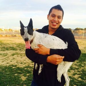 Meet your Posher, Oscar